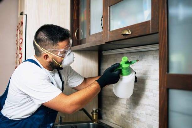 Best Affordable Pest Control Services  in Fallbrook, CA