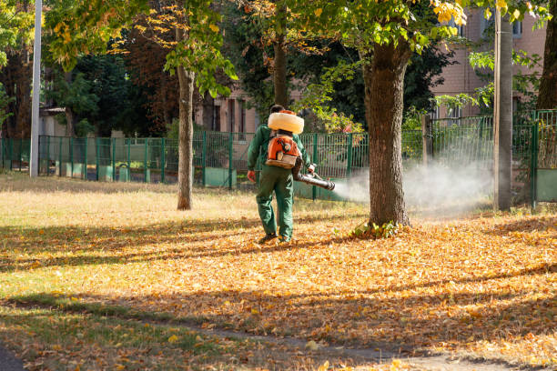 Best Residential Pest Control  in Fallbrook, CA